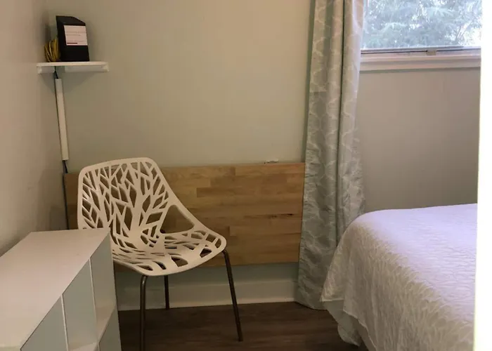 Cozy-quiet Pets Kitchen